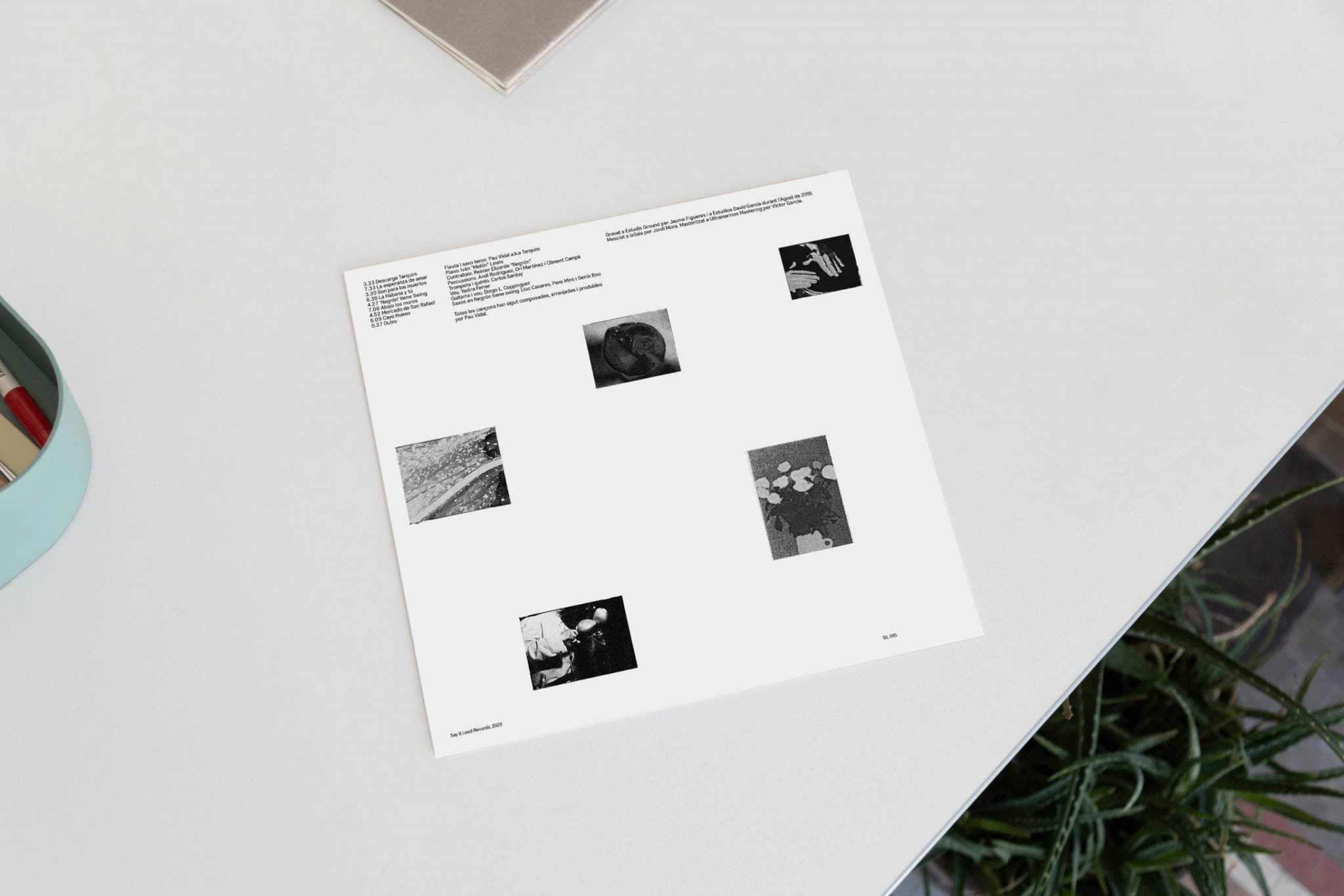 hand holding an album